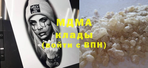 прущие грибы Гусев