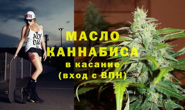 Альфа ПВП Горняк