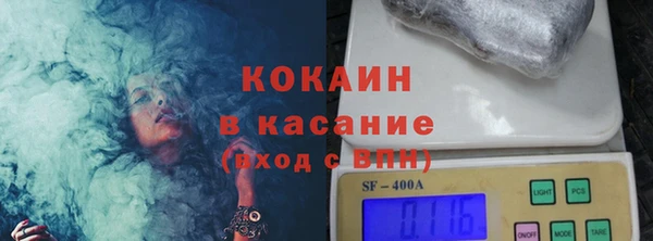 прущие грибы Гусев