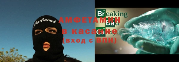 прущие грибы Гусев