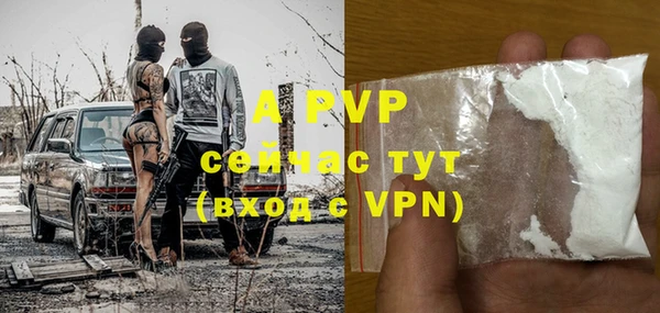 прущие грибы Гусев