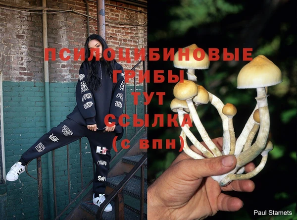 спиды Гусиноозёрск