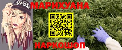 прущие грибы Абакан