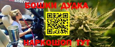 прущие грибы Абакан
