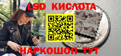 прущие грибы Абакан