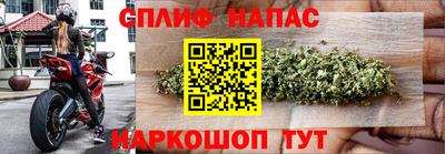spice Славгород