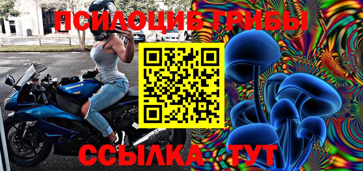 Псилоцибиновые грибы Cubensis Набережные Челны