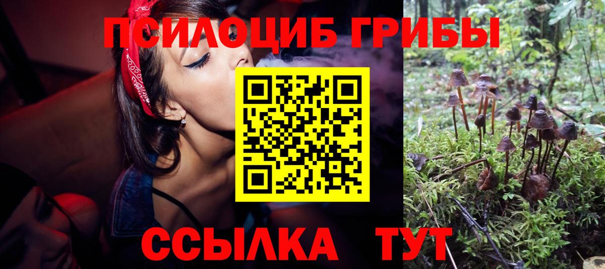 Галлюциногенные грибы GOLDEN TEACHER Набережные Челны