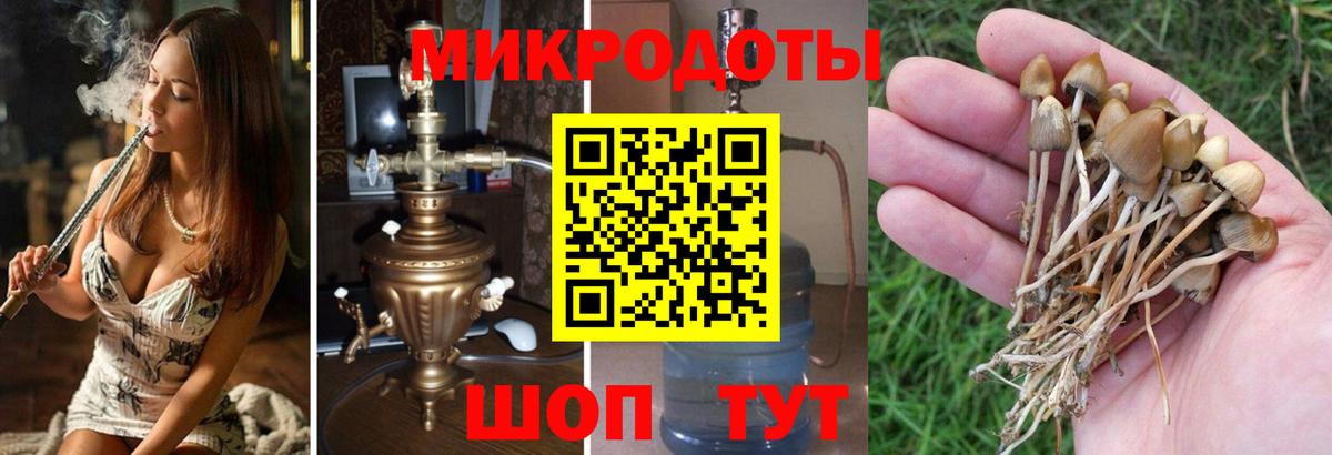 Галлюциногенные грибы Psilocybe  как найти закладки  Набережные Челны  Вход с VPN  Галлюциногенные грибы Magic Shrooms 