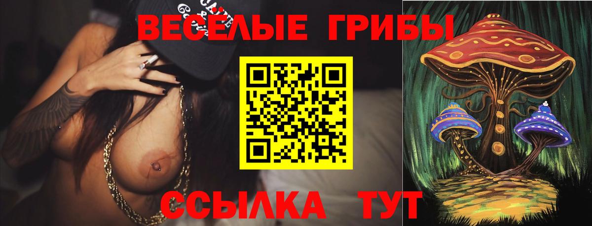 закладки  Псилоцибиновые грибы прущие грибы  Вход с VPN  Набережные Челны  Галлюциногенные грибы прущие грибы 